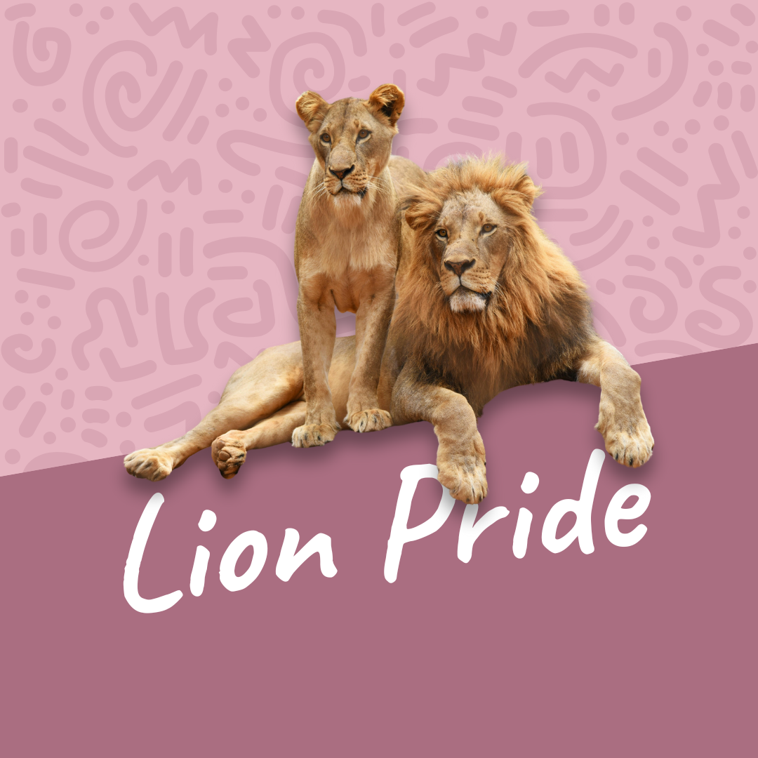 Intermediate Running Course